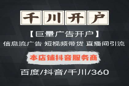 百度SEO推广策略案例：一家公司的成功转型之路